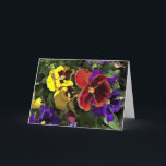 Cartão Multi Colored Pansies<br><div class="desc">Multi colored pansies</div>