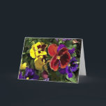 Cartão Multi Colored Pansies<br><div class="desc">Multi colored pansies</div>