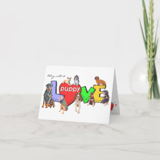 Cartão Múltiplos Cachorros Puppy Love Card