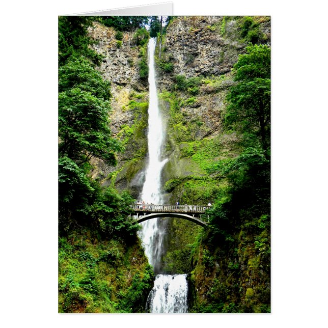 Cartão Multnomah (Frente)