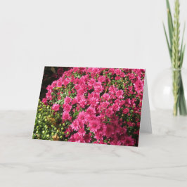 Cartão Mums Rosa Escuro