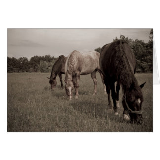 Cartão Munching sincronizada