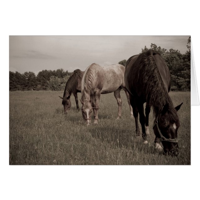 Cartão Munching sincronizada (Frente Horizontal)