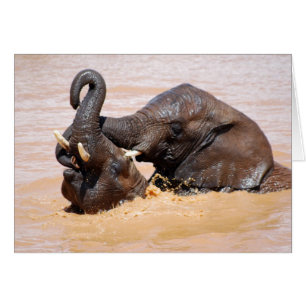 Cartão Mundo da água dos elefantes