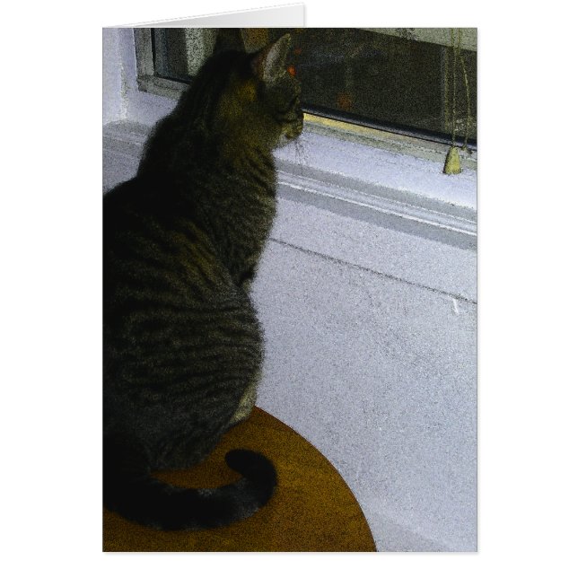 Cartão Mundo dos Gatos (Frente)