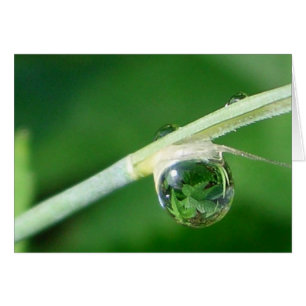 Cartão Mundo em uma gota