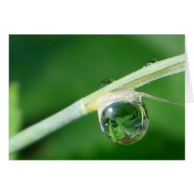 Cartão Mundo em uma gota (Frente Horizontal)
