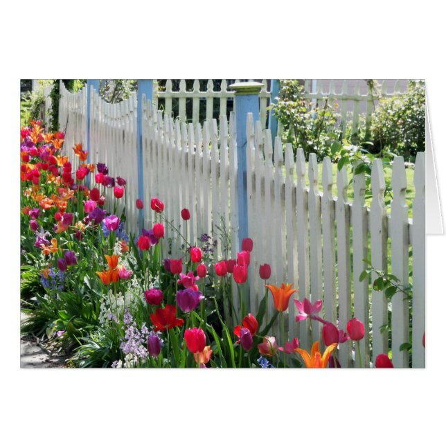 Cartão muro de piquete branco de jardim (Frente Horizontal)