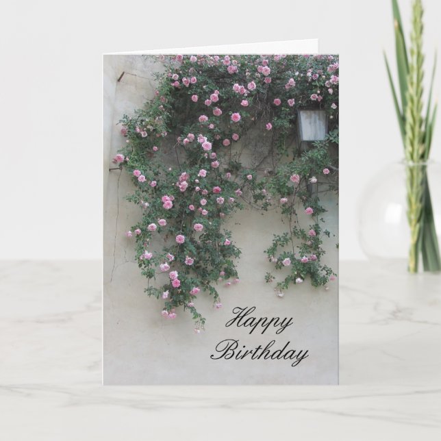 Cartão Muro de Rosas Rosa (Frente)