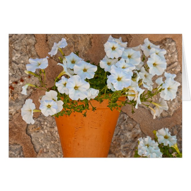 Cartão Muro Espanhol (Frente Horizontal)