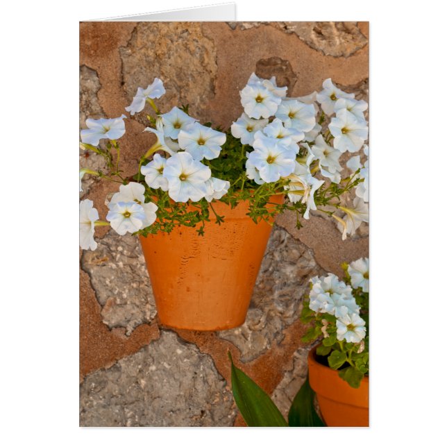 Cartão Muro Espanhol (Frente)