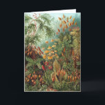 Cartão Muscinae Antigos, Plantas de Musgo por Ernst Haeck<br><div class="desc">Ilustração antiga da natureza com design botânico por Ernst Haeckel. Uma variedade de musgos coloridos,  gramíneas e outras plantas tropicais exóticas em uma selva tropical.</div>