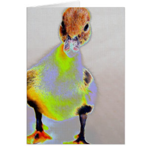 Cartão Muscovy brilhante