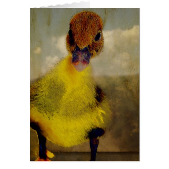 Cartão Muscovy Dreamin (Frente)