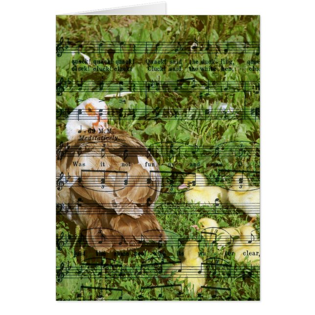 Cartão Muscovy Hen e Ducklings Com Música Duckch (Frente)