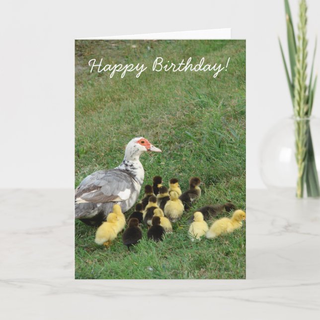 Cartão Muscovy Hen With Ducklings, Happy Birthday! (Frente)