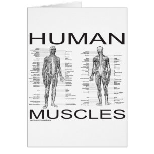 Cartão Músculos humanos e anatomia