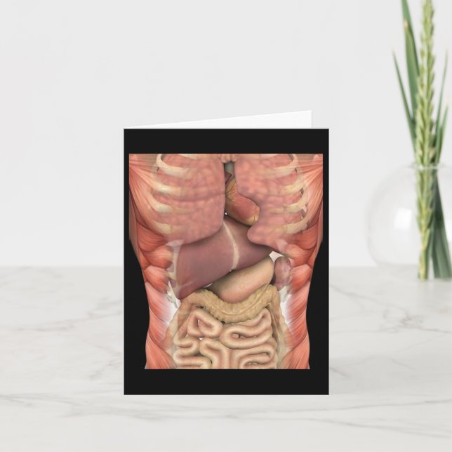 Cartão Músculos Humanos Órgãos Assustadores Anatomia Prof (Frente)