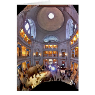 Cartão Museu de História Natural