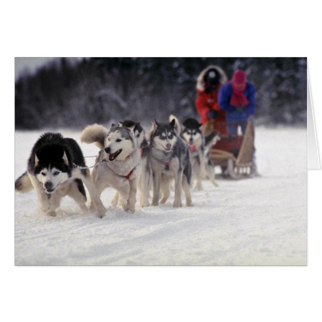 Cartão Mush (Frente Horizontal)