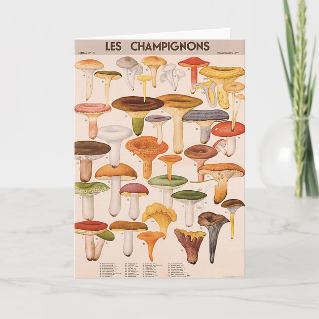 Cartão Mushroom Greeting Card (Frente)