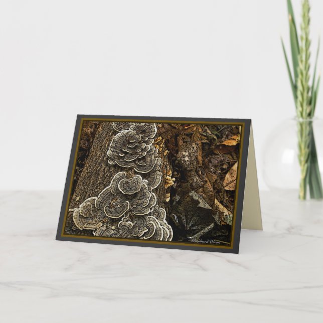 Cartão mushrooms (Frente)