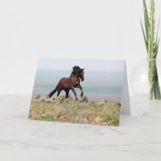 Cartão Mustang Stallion, Clancy-Greeting Card