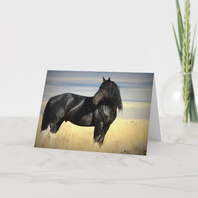 Cartão Mustang Stallion greeting card. (Frente)