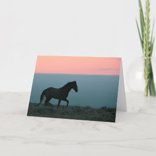 Cartão Mustang Stallion no Sunset Greeting Card