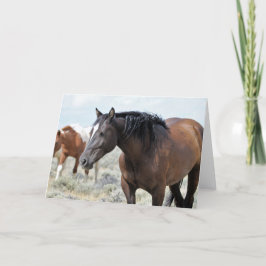 Cartão Mustangs selvagens do Ocidente