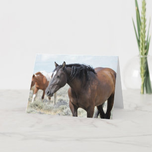 Cartão Mustangs selvagens do Ocidente