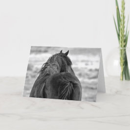 Cartão Mustangs selvagens do Ocidente