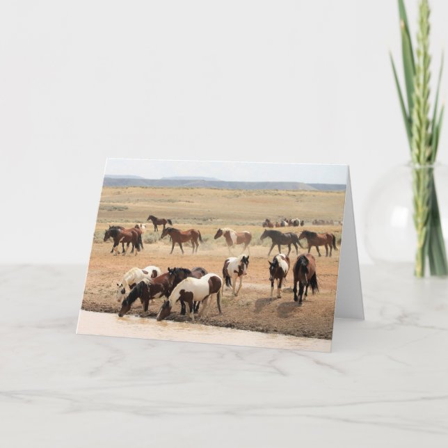 Cartão Mustangs selvagens do Ocidente (Frente)
