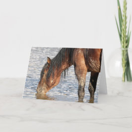 Cartão Mustangs selvagens do Ocidente