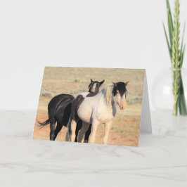 Cartão Mustangs selvagens do Ocidente