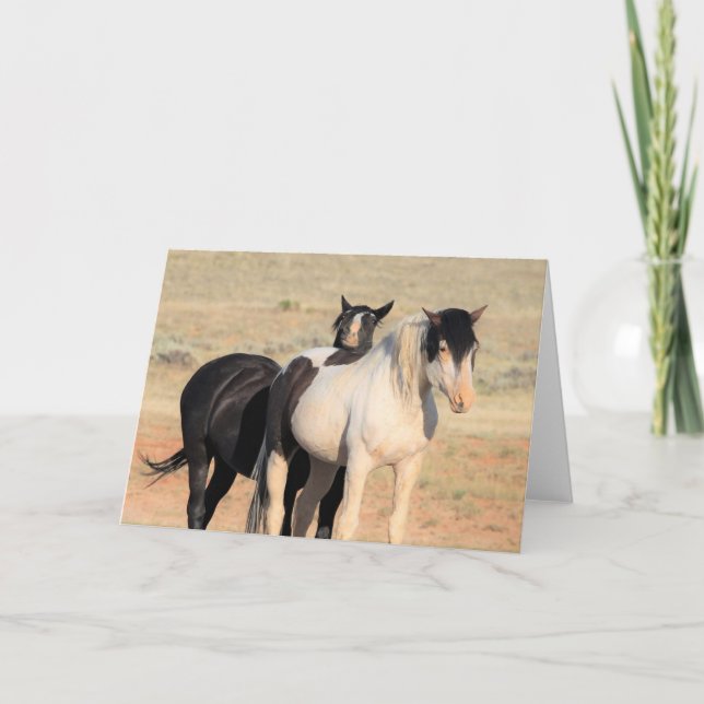 Cartão Mustangs selvagens do Ocidente (Frente)