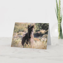 Cartão Mustangs selvagens do Ocidente