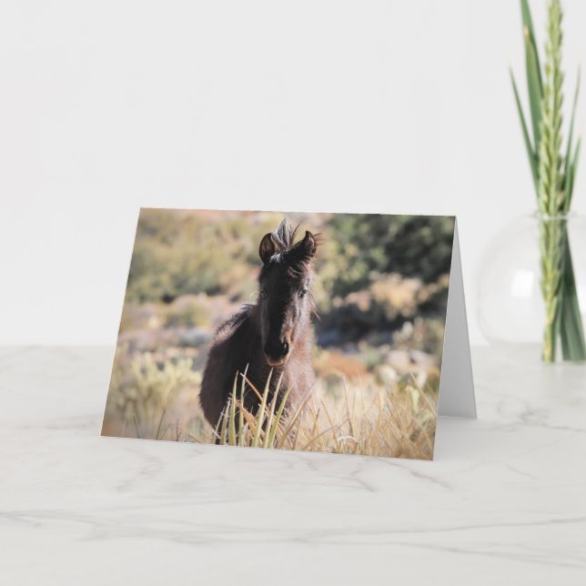 Cartão Mustangs selvagens do Ocidente (Frente)