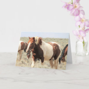 Cartão Mustangs selvagens do Ocidente