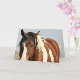 Cartão Mustangs selvagens do Ocidente