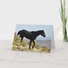 Cartão Mustangs selvagens do Ocidente