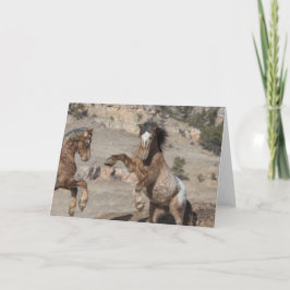 Cartão Mustangs Sparring: Galloping to Freedom Greeting