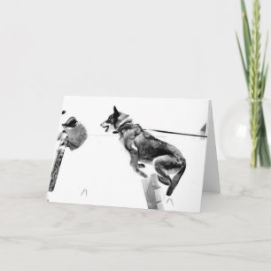 Cartão MWD Gabriel Greeting Cards