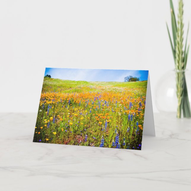 Cartão My California 1 (Frente)