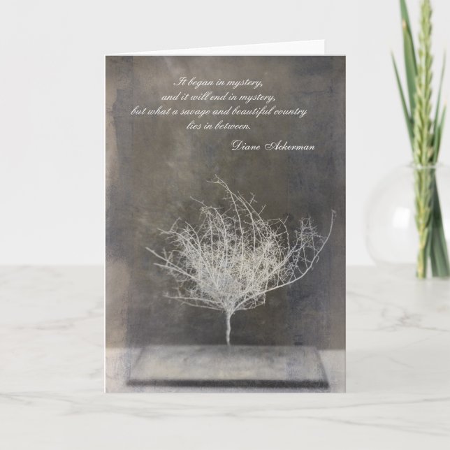 Cartão Mystery (Frente)