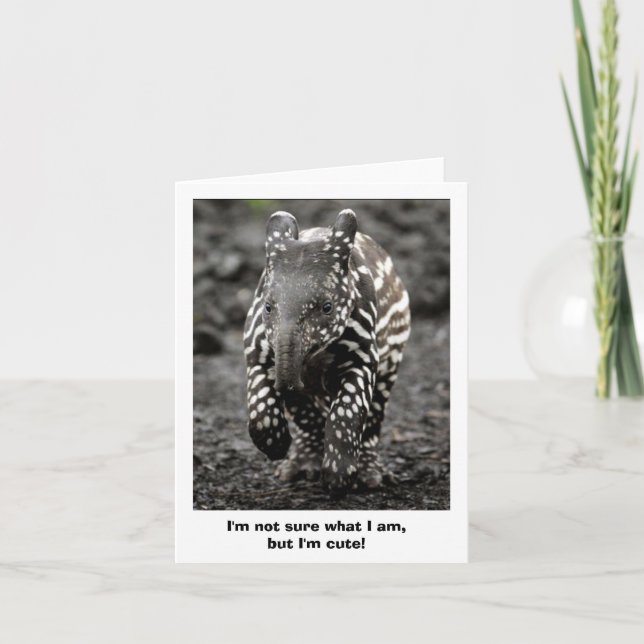 Cartão Mystery Critter (Frente)