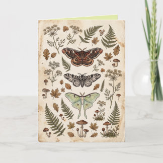 Cartão Mystical Moths Folk Flowers & Foliage Art Card