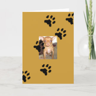 Cartão n1033590036_30149730_9405mmmm, Footprints