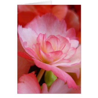 Cartão Na Borda de um Petal