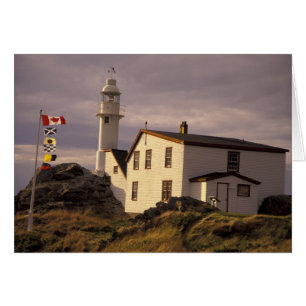 Cartão NA, Canadá, Terra Nova, Lobster Cove. Lagosta